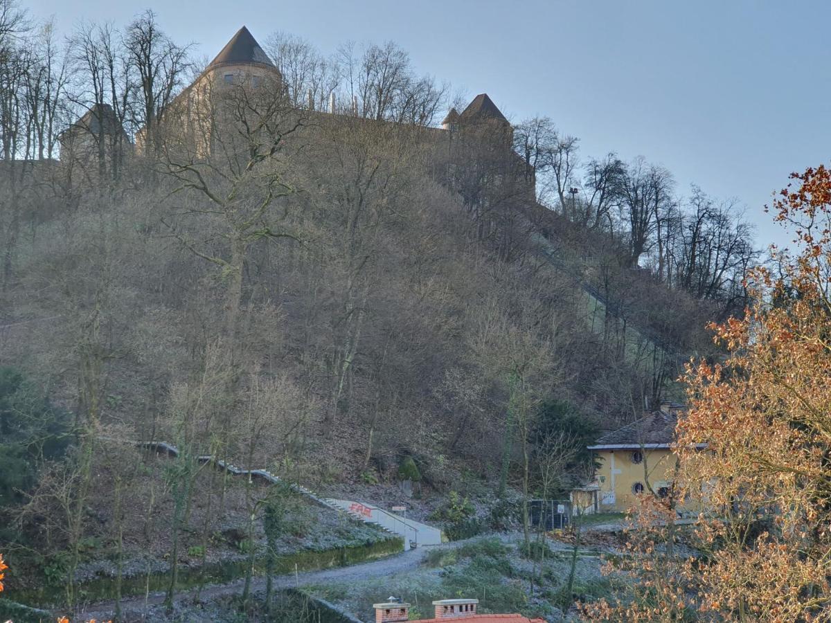 Bossa Nova Castle&Outstanding Home With Garage ลูบลิยานา ภายนอก รูปภาพ